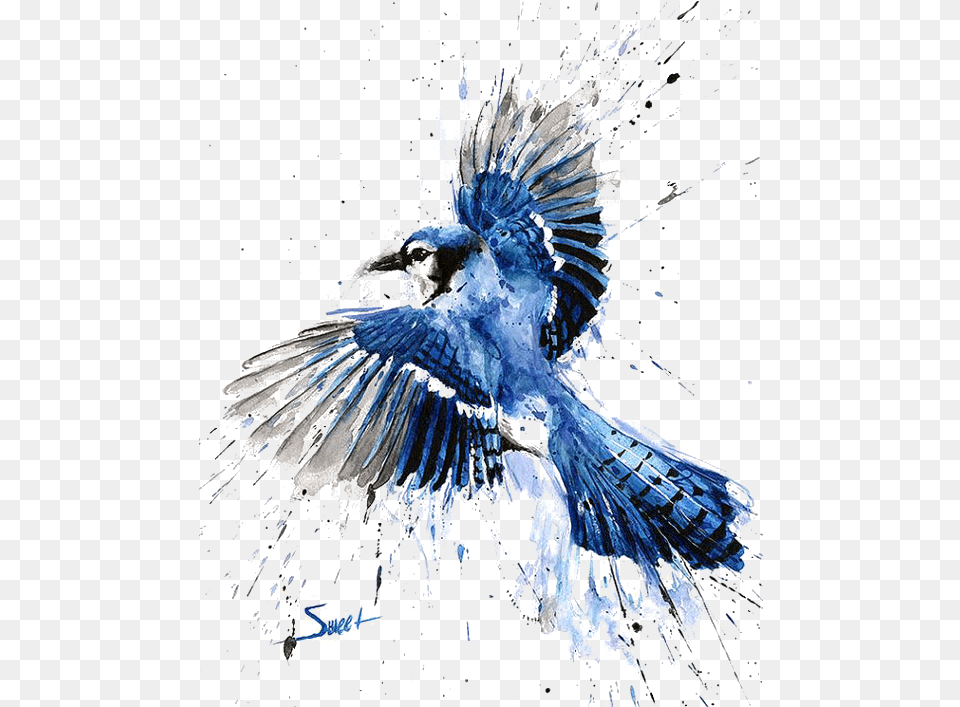 Blue Jay Watercolor Painting Blue Jay Painting, Animal, Bird, Blue Jay, Bluebird Png