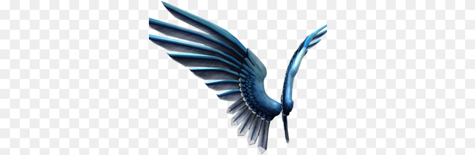 Blue Jay Wings Blue Jay Bird Wings, Animal, Flying Free Png Download