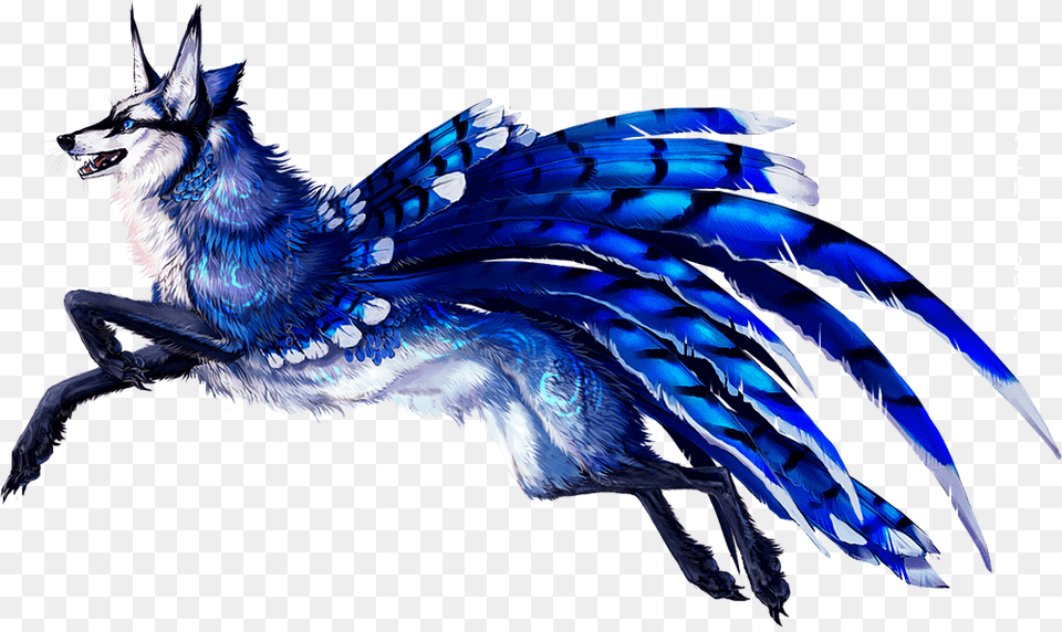 Blue Jays Images Blue Jay Wolf Hd Wallpaper And Background Blue Jay And Wolf, Animal, Bird, Dragon Free Png