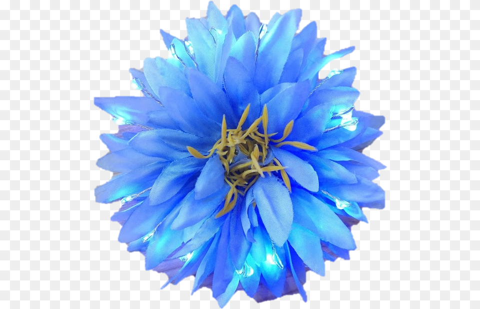 Blue Light Up Glowing Hair Flower Light Blue Flower, Dahlia, Petal, Plant, Rose Free Png Download