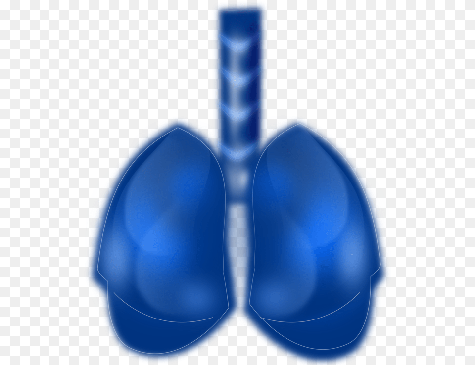 Blue Lungs Human Free Transparent Png