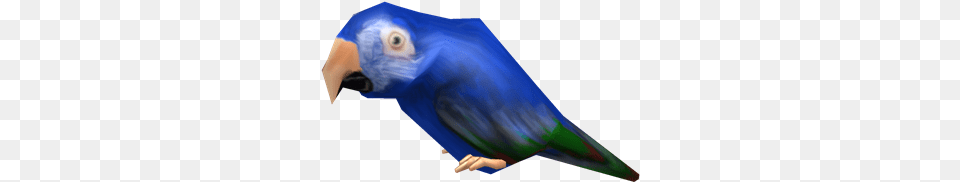 Blue Macaw Budgie, Animal, Bird, Parakeet, Parrot Free Png Download