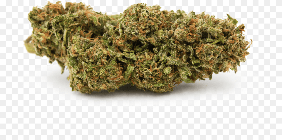 Blue Magoo Single Skunk Valley Farm Og, Plant, Weed Free Png Download