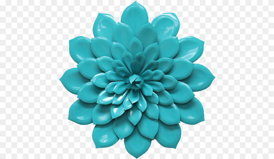 Blue Marigold Massage, Dahlia, Flower, Plant, Turquoise Free Png Download