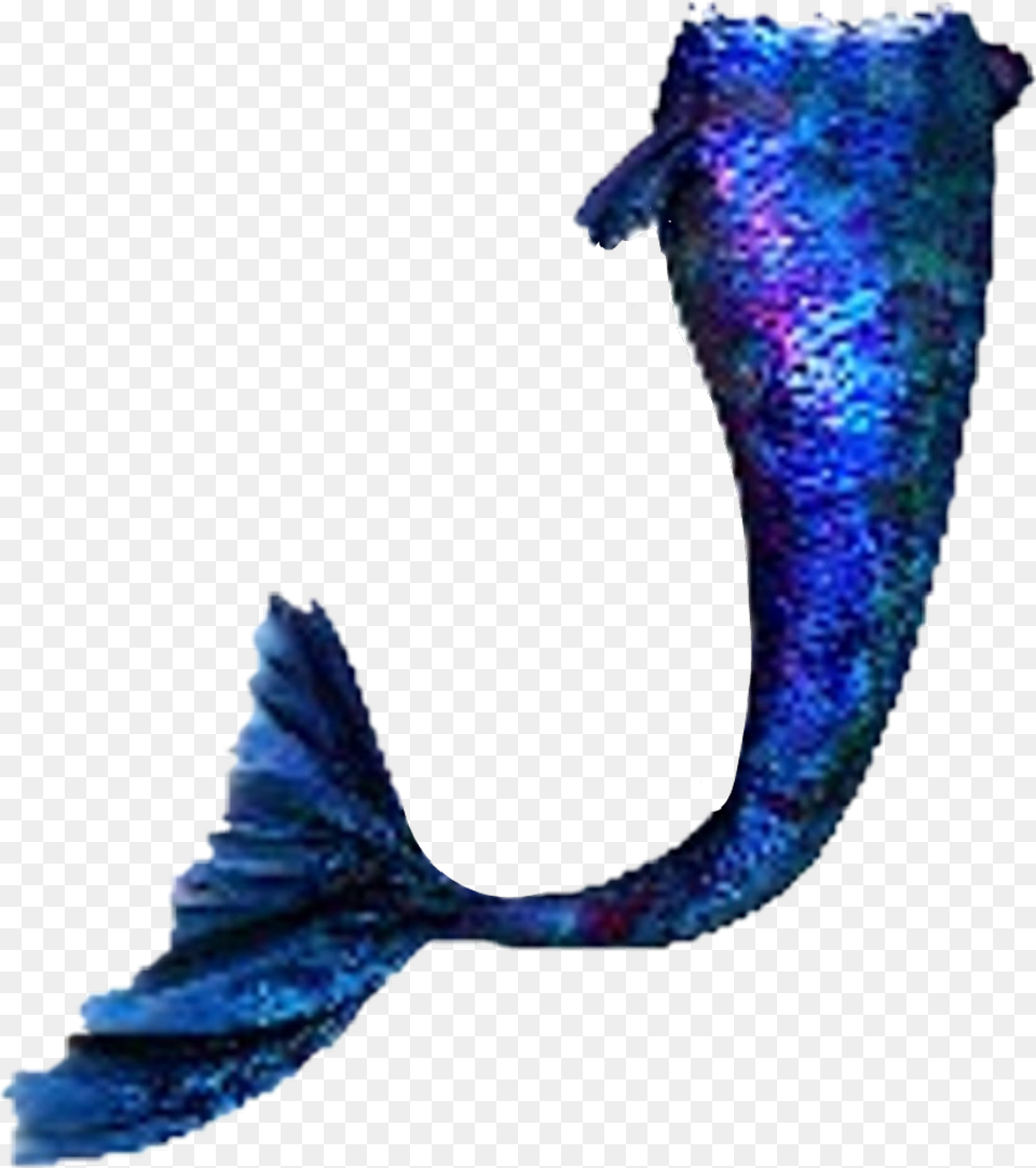 Blue Mermaid Mermaidtail, Animal, Sea Life, Adult, Bride Free Transparent Png