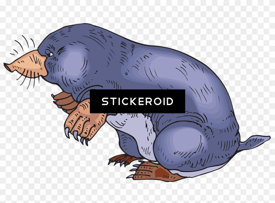 Blue Mole, Animal, Mammal, Face, Head Free Transparent Png