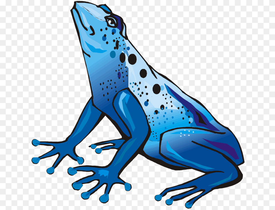 Blue Mountain Cliparts, Amphibian, Animal, Frog, Wildlife Free Png Download