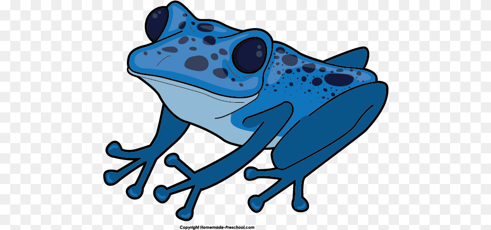Blue Mountain Tree Frog Clipart Transparent Poison Dart Frog Clipart, Amphibian, Animal, Wildlife, Fish Png Image