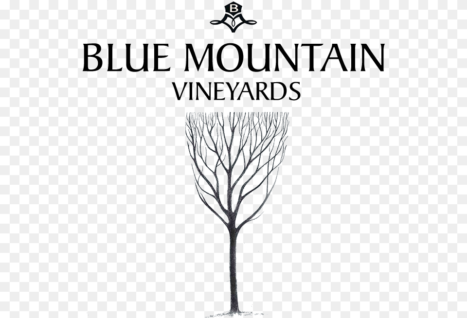 Blue Mountain Vineyards Colorado, Cross, Symbol, Art, Glass Png