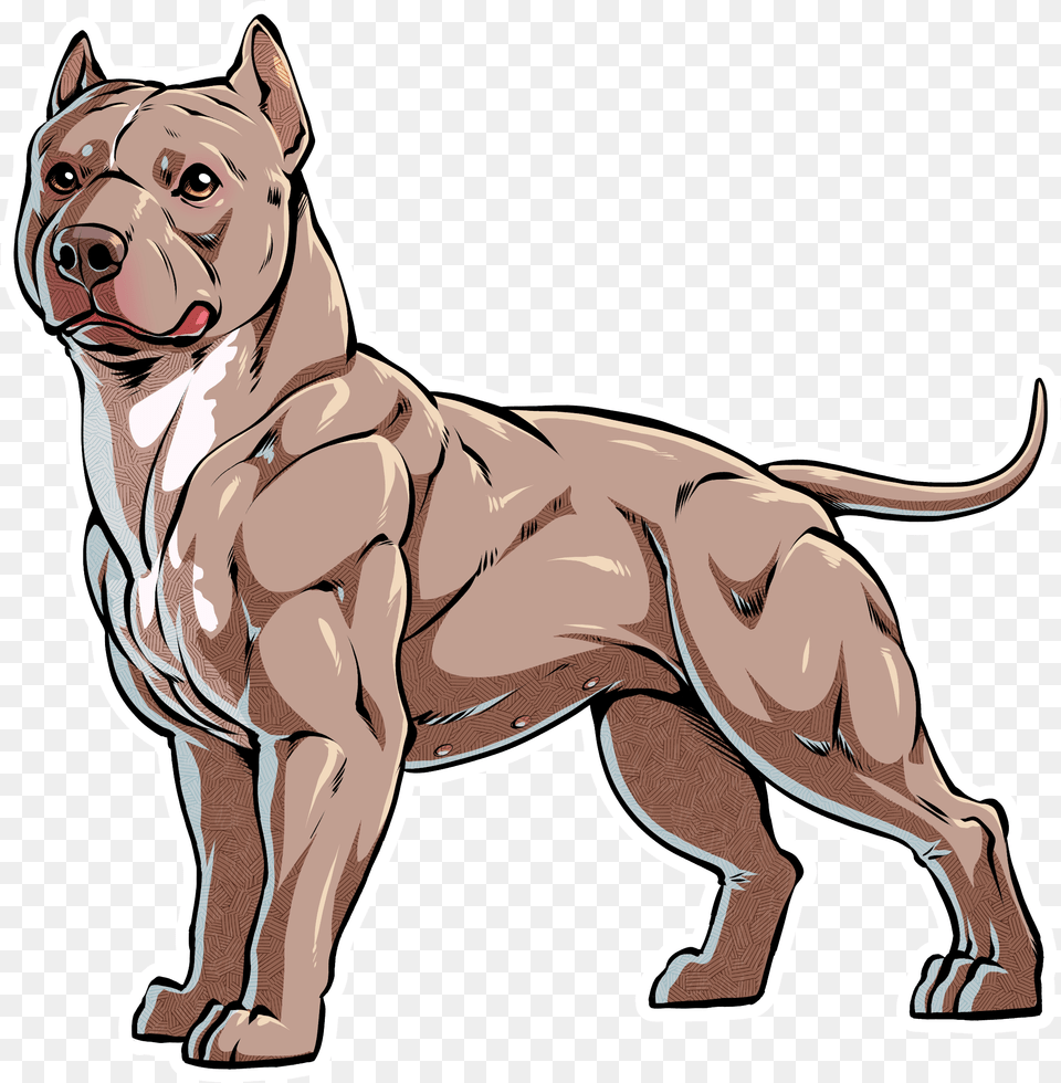 Blue Nosed Pitbull Terrier, Animal, Bulldog, Canine, Dog Free Png Download