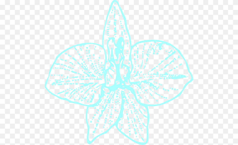 Blue Orchid Clip Art Svg Clip Arts 600 X 586 Px, Flower, Leaf, Plant, Petal Free Transparent Png