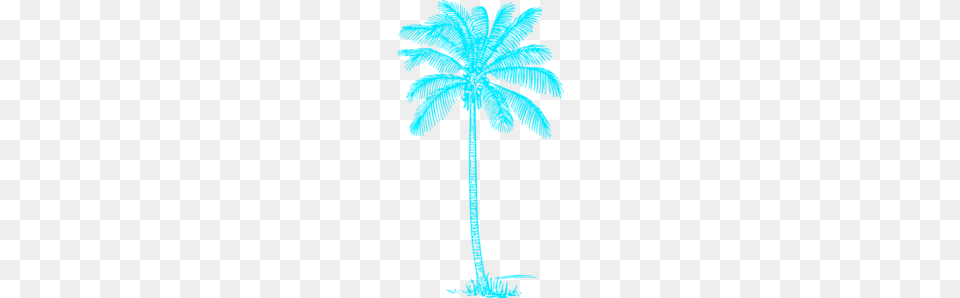 Blue Palm Tree Clip Art, Palm Tree, Plant, Person, Leaf Png