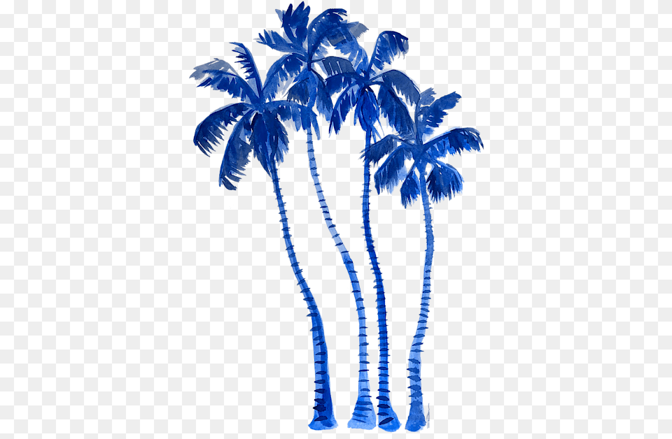Blue Palm Trees, Palm Tree, Plant, Tree Png Image
