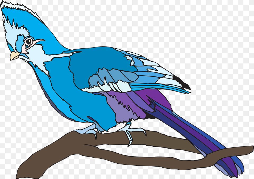 Blue Parrot Clipart, Animal, Bird, Jay, Fish Free Png