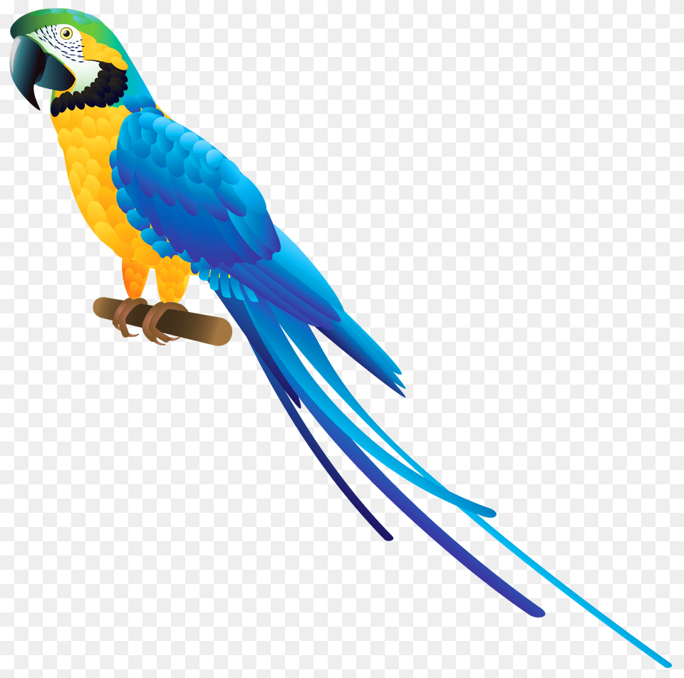 Blue Parrot Clipart, Animal, Bird, Macaw Png Image