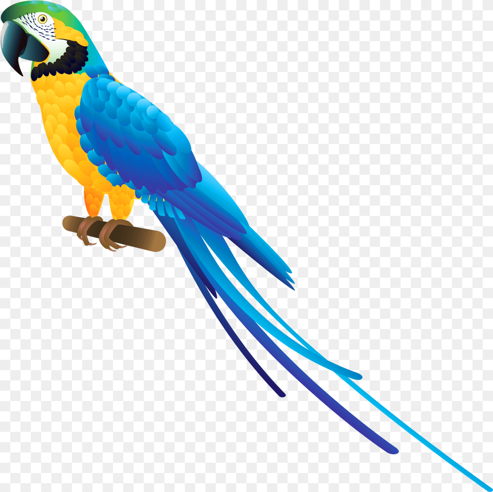 Blue Parrot Clipart Transparent Background Parrot, Animal, Bird, Macaw Free Png