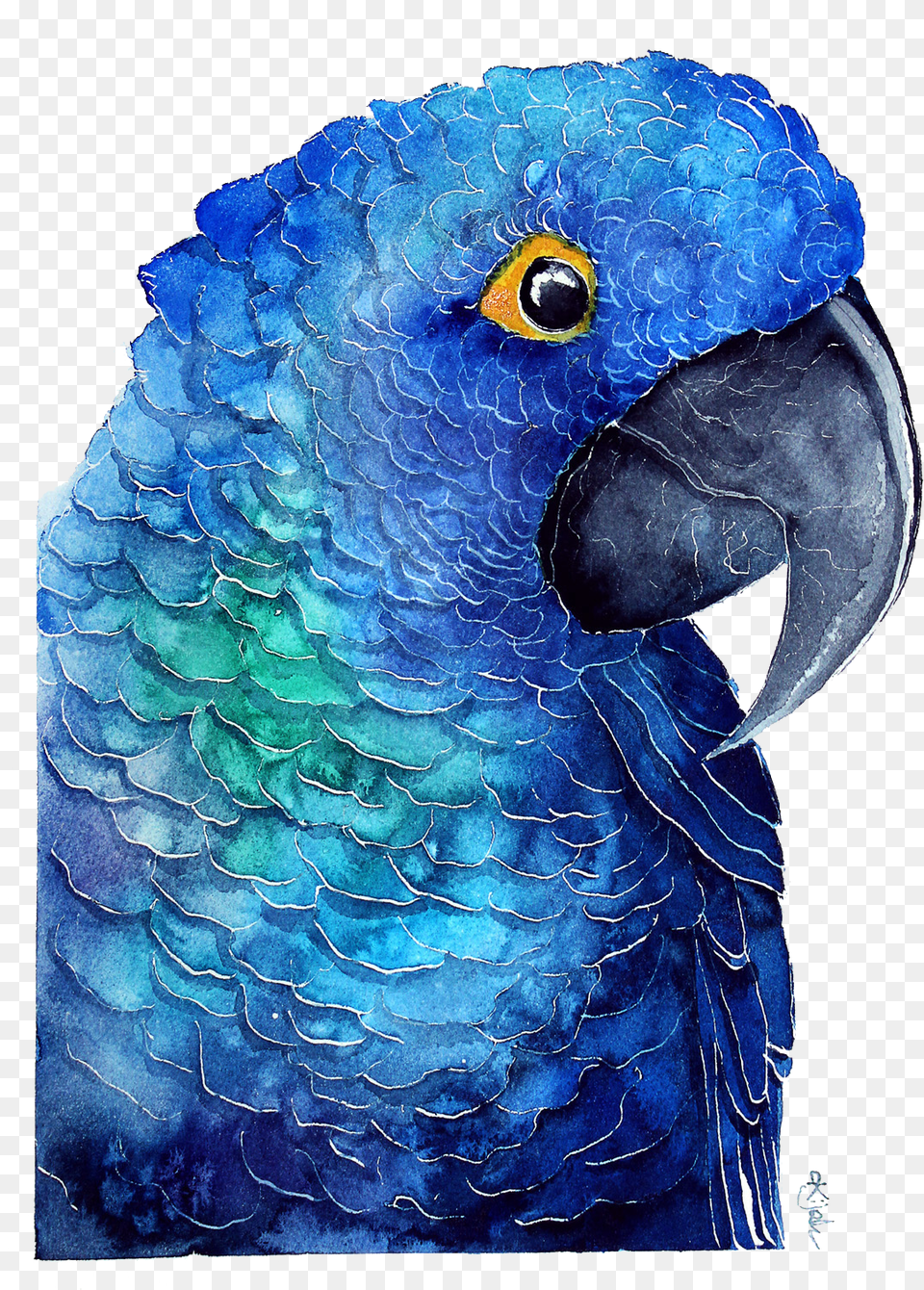 Blue Parrot Download Transparent Image Papuga Grafika, Animal, Beak, Bird Free Png
