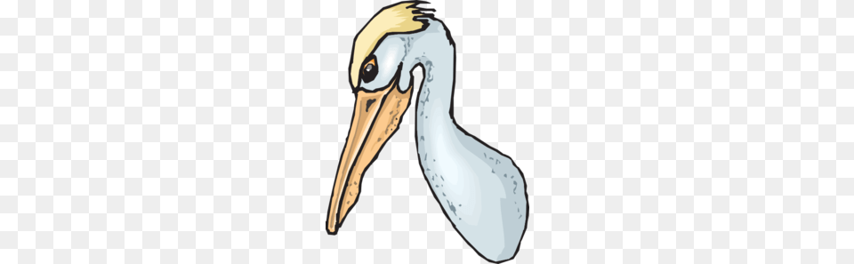 Blue Pelican Head Clip Art, Animal, Beak, Bird, Waterfowl Png Image