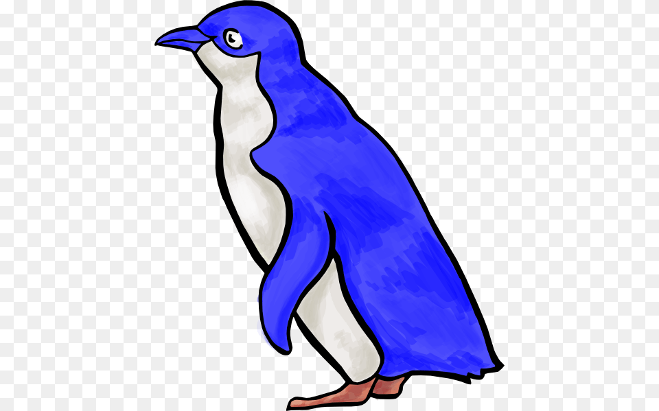 Blue Pengu Clip Arts, Animal, Bird, Penguin Free Png Download
