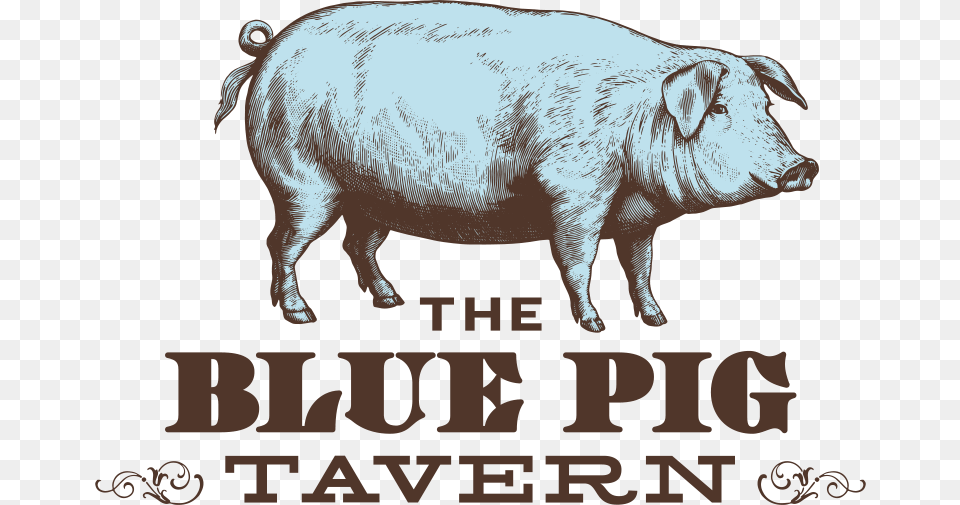 Blue Pig Tavern Print, Animal, Boar, Hog, Mammal Png Image