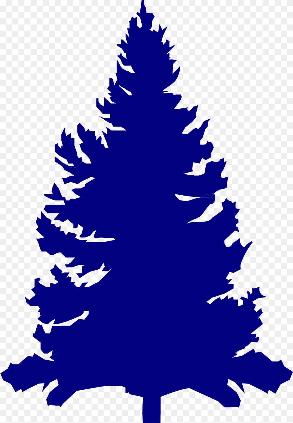 Blue Pine Clip Art, Fir, Plant, Tree, Person Free Png