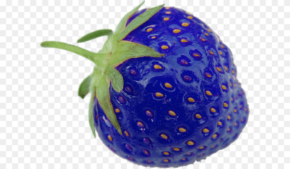 Blue Pineberry, Berry, Food, Fruit, Plant Free Png
