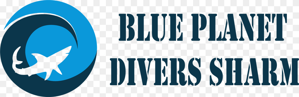 Blue Planet Divers Sharm, Animal, Fish, Sea Life, Shark Free Transparent Png