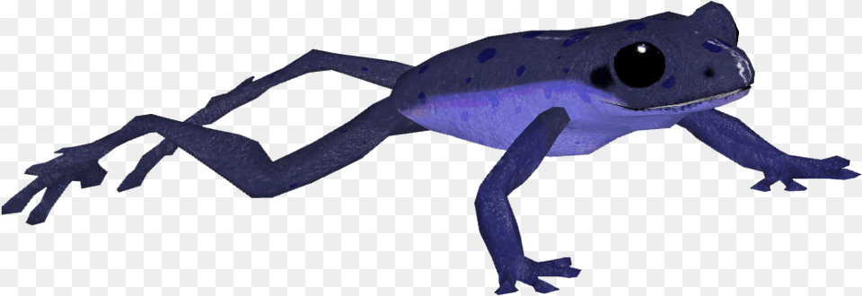 Blue Poison Frog, Amphibian, Animal, Wildlife, Fish Free Png