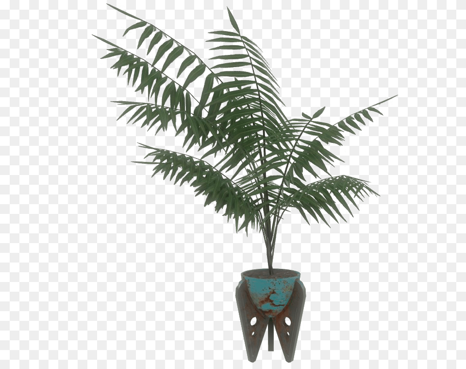 Blue Potted Plant Potted Plants, Fern, Palm Tree, Tree, Leaf Png Image