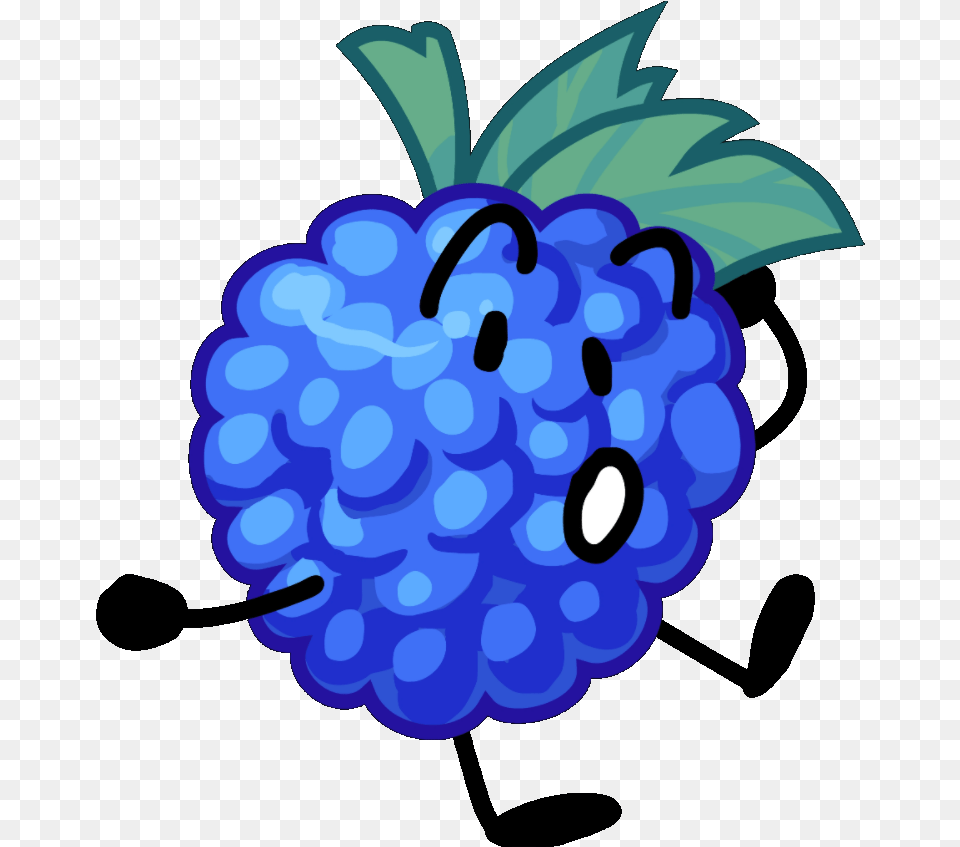 Blue Raspberry Fresh, Berry, Food, Fruit, Plant Free Transparent Png