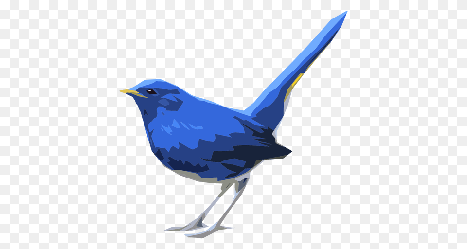 Blue Redstart Bird Illustration, Animal, Jay, Wren Free Transparent Png