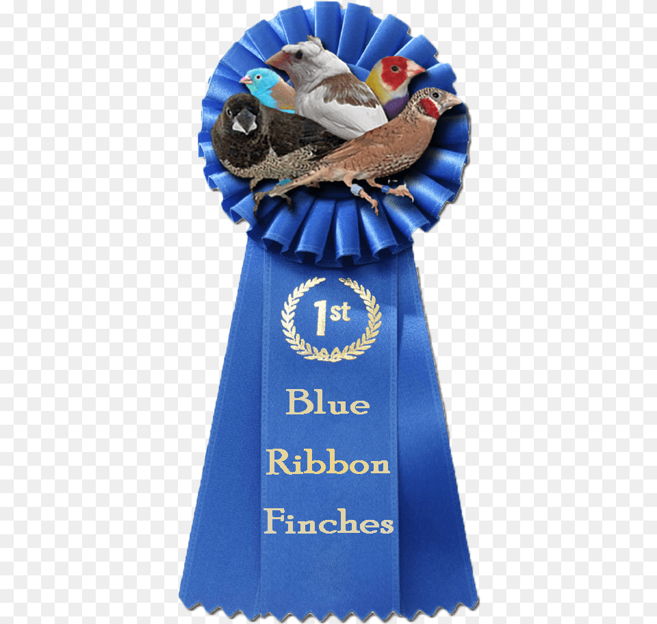 Blue Ribbon Logo Copy Charlotte39s Web Blue Ribbon, Animal, Bird, Finch, Beak Free Png