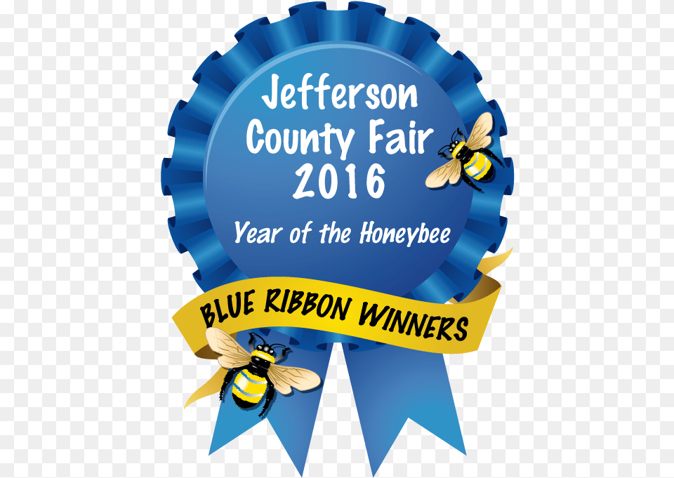 Blue Ribbon Winnersclass Img Responsive True Size Stillwater Gazette Readers Choice 2019, Animal, Bee, Honey Bee, Insect Free Transparent Png