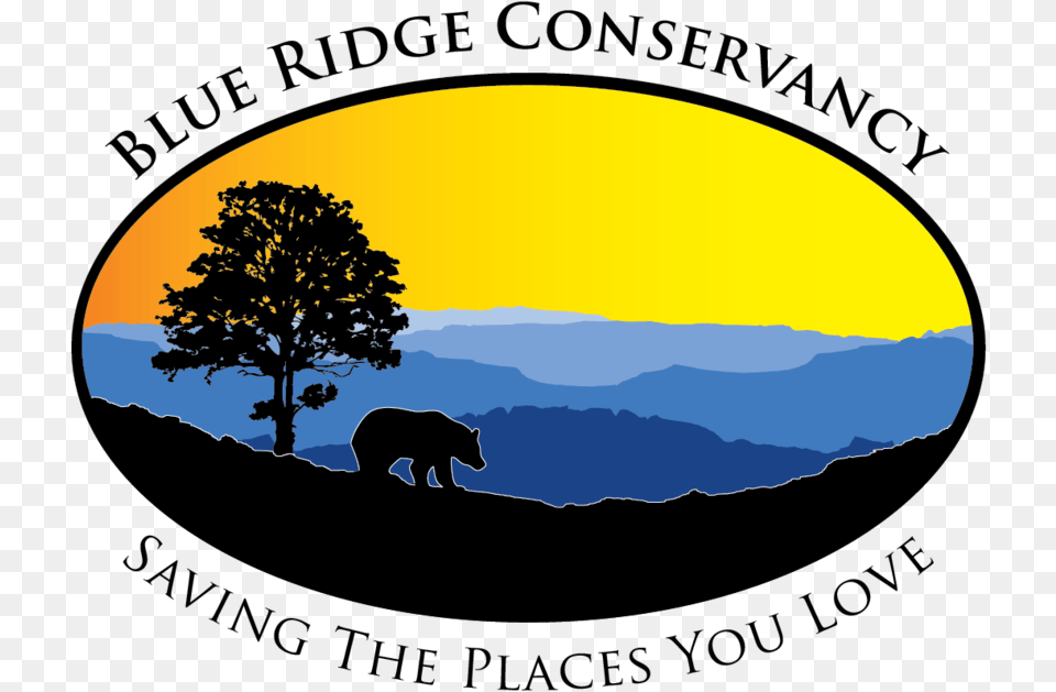 Blue Ridge Conservancy, Animal, Bear, Mammal, Wildlife Png