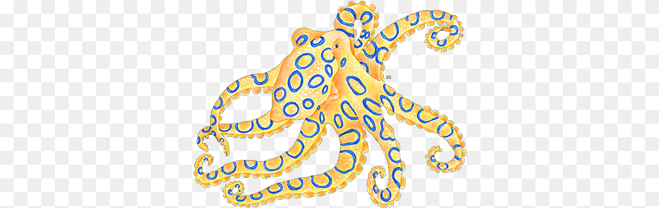 Blue Ring Octopus Yellow Pillow Case, Animal, Invertebrate, Sea Life, Reptile Free Png Download