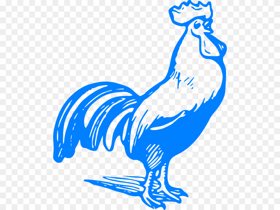 Blue Rooster Clipart, Person, Animal, Face, Head Free Transparent Png