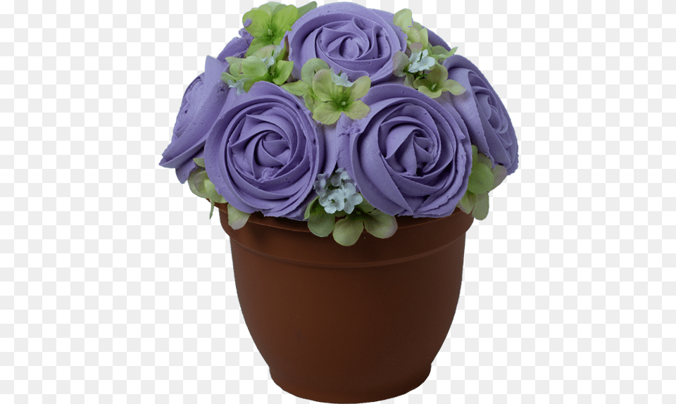 Blue Rose, Plant, Flower, Flower Arrangement, Flower Bouquet Png