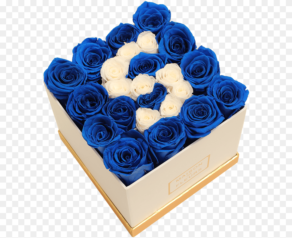 Blue Rose, Flower, Flower Arrangement, Flower Bouquet, Plant Png