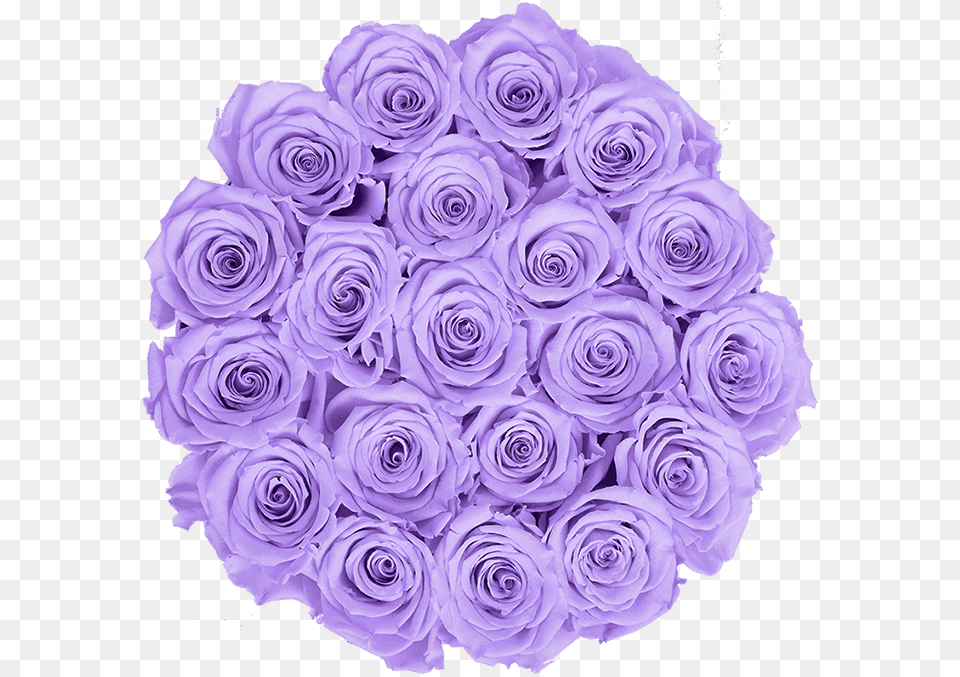 Blue Rose, Art, Floral Design, Flower, Flower Arrangement Free Png