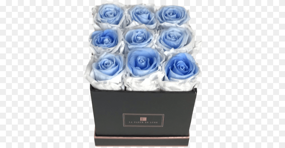 Blue Rose, Birthday Cake, Plant, Food, Flower Png Image