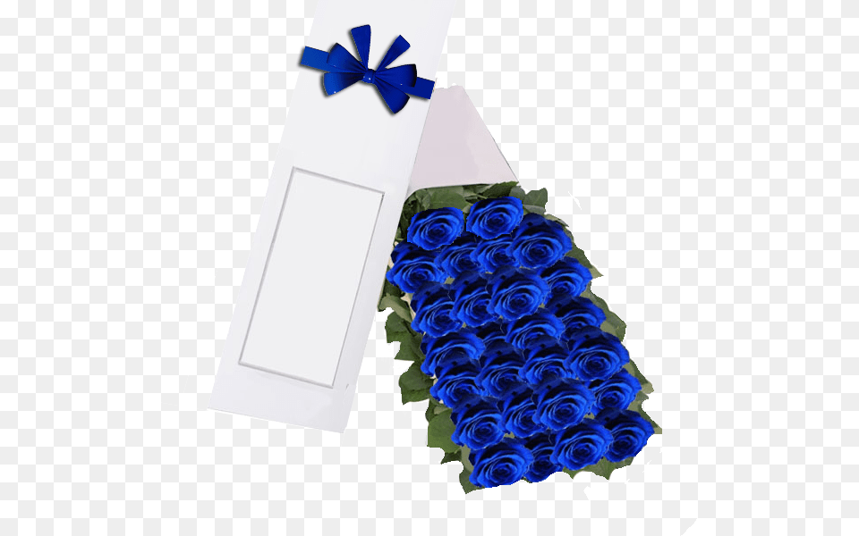 Blue Rose, Flower, Flower Arrangement, Flower Bouquet, Plant Png