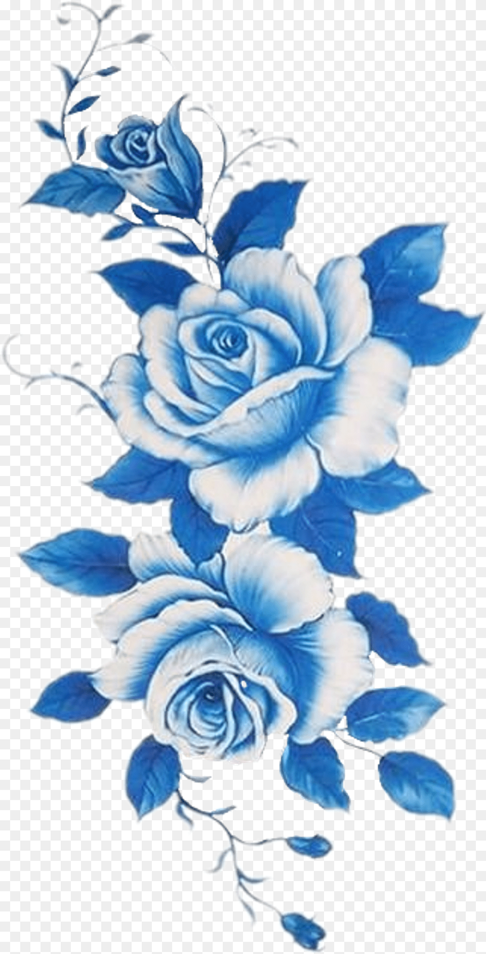 Blue Rose, Art, Floral Design, Graphics, Pattern Free Transparent Png