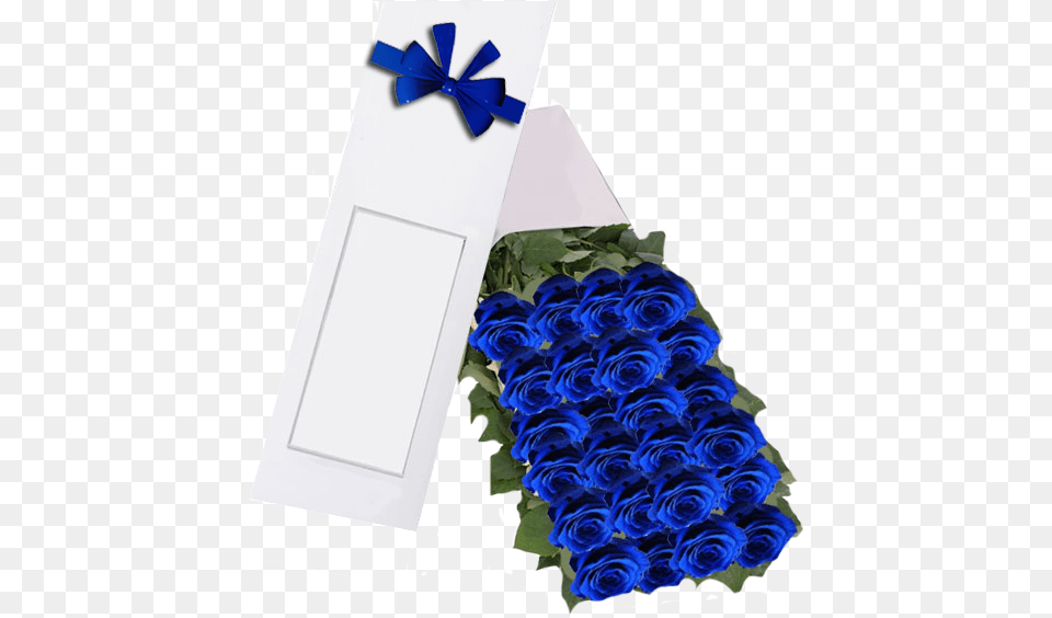 Blue Rose, Flower, Plant, Flower Bouquet, Flower Arrangement Free Png