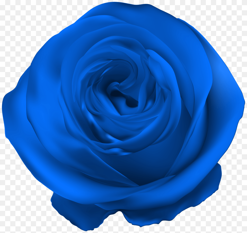 Blue Rose Clip, Photography Free Png Download