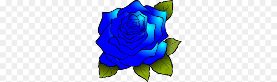 Blue Rose Clip Art, Flower, Plant, Baby, Person Free Transparent Png