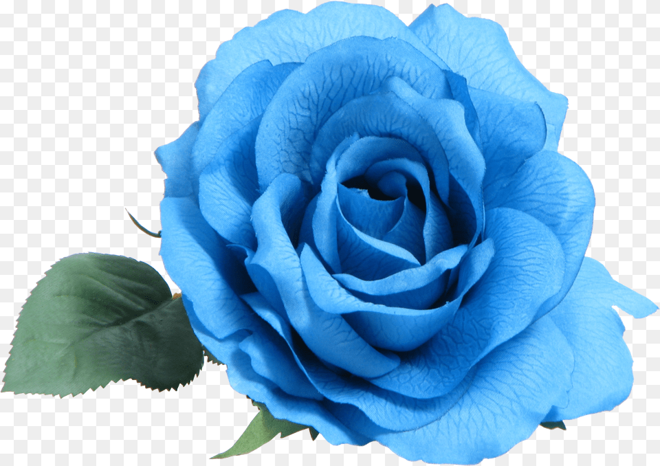 Blue Rose Clip Art Transparent Blue Flower Png Image