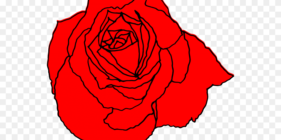 Blue Rose Clipart Red Rose Outline Rose Simple Flower Design Drawing, Plant, Petal Png Image