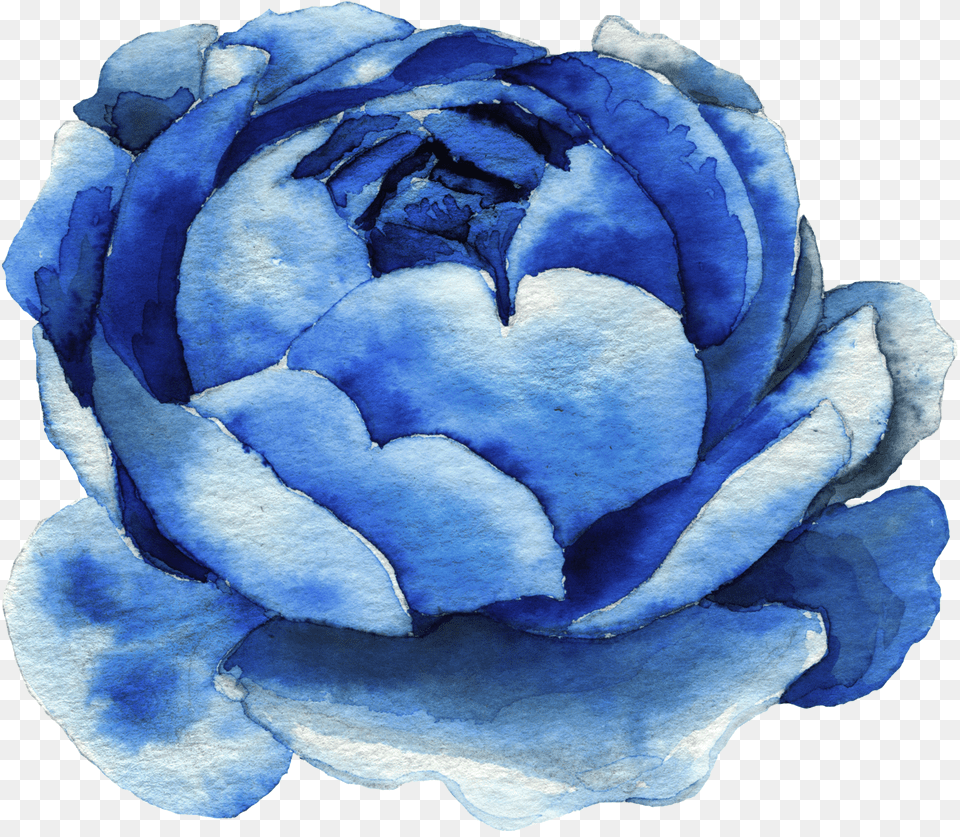 Blue Rose Clipart Watercolor Watercolor Flower Clipart Blue, Plant, Petal Free Transparent Png