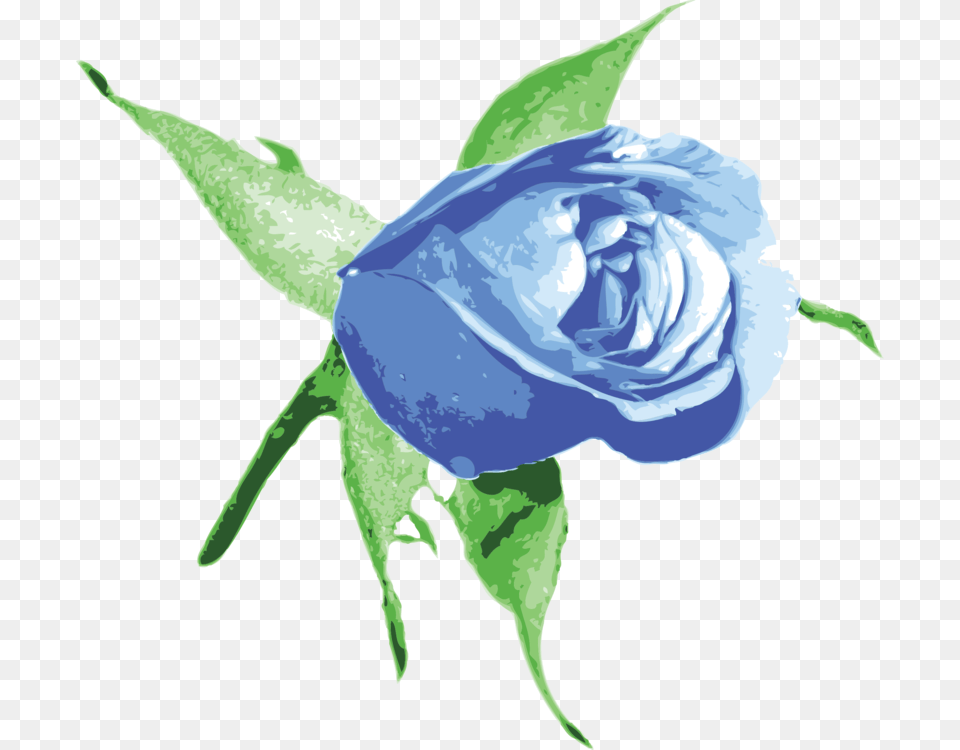 Blue Rose Flower Computer Icons Blue Rose Bud, Plant, Person Png Image