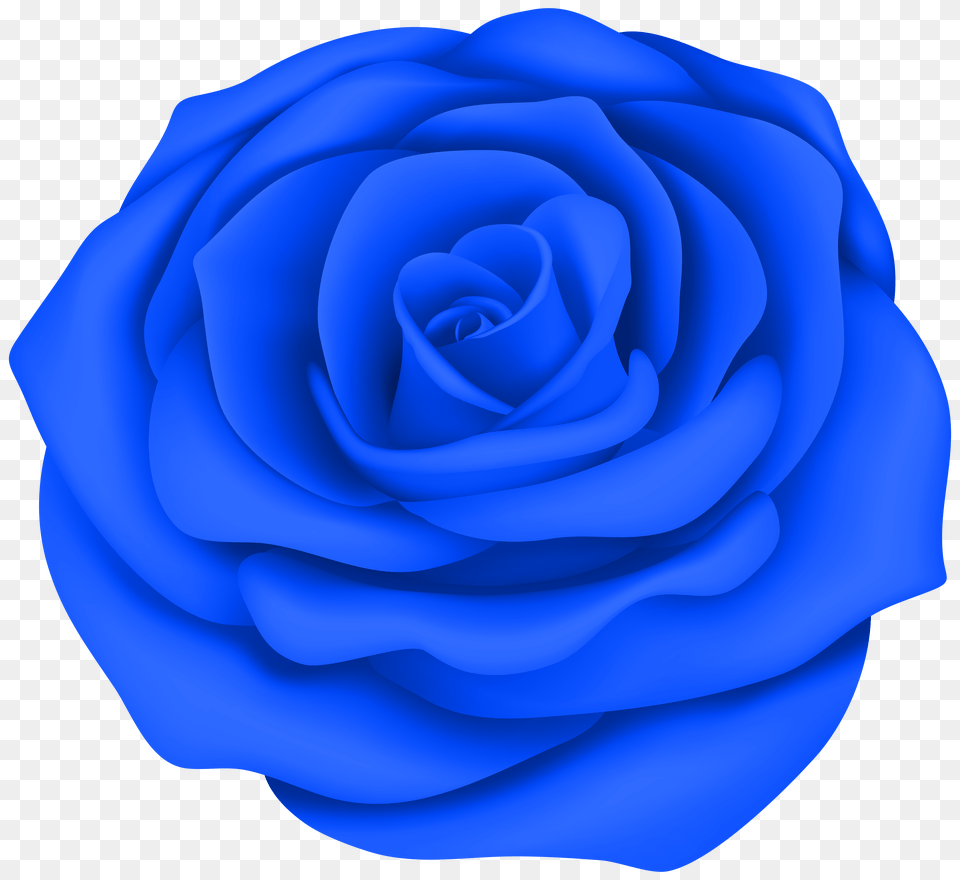 Blue Rose Flower Transparent Clip Art Gallery, Architecture, Building, Stone Wall, Wall Free Png Download